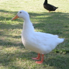 DSCN5665