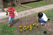 DSCN5973